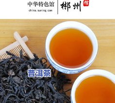 东莞的普洱茶现在能买吗？价格多少？是否有？在哪个场可以购买？