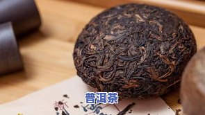 东莞普洱茶场：现在能买吗？情况如何？