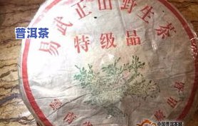 东莞普洱茶场：现在能买吗？情况如何？