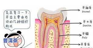 普洱茶沉淀内质因子：揭示其作用与重要性