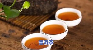 减肥能喝黑茶还是普洱茶好？女生、女性都适用，哪个更适合你？