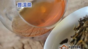 1401玉润天香大益品鉴：揭秘云南大益顶级普洱茶原料来源与品质等级，以及出品周期