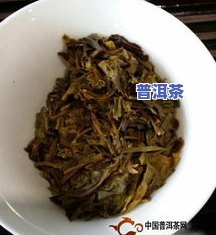 1401玉润天香大益品鉴：揭秘云南大益顶级普洱茶原料来源与品质等级，以及出品周期