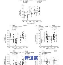 普洱茶压紧好还是压松好？影响口感的关键因素解析