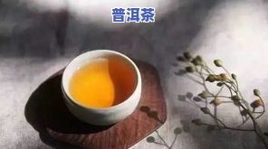 普洱茶有很小的虫子还能喝吗？有吗？看视频了解详情