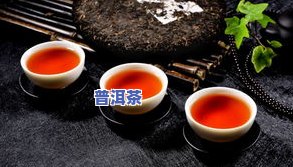 熟普洱茶减肥显著吗？探讨其功效与适宜人群