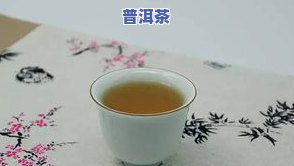 纸箱普洱茶-普洱茶纸箱存放方法