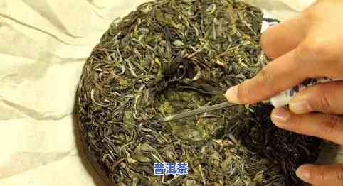 古代普洱茶的制作步骤：从鲜叶采摘到熟茶制作全过程解析