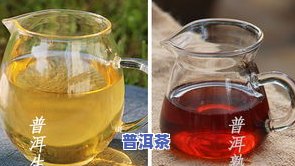 古代普洱茶的制作步骤：从鲜叶采摘到熟茶制作全过程解析