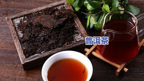 普洱茶一点茶香味都没有？怎么回事？