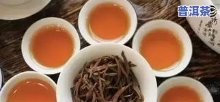 龙润普洱茶标杆产品是什么-龙润普洱茶标杆产品是什么