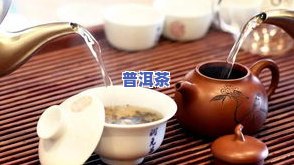 茶树王普洱茶熟茶：怎样冲泡出更佳口感的视频教程