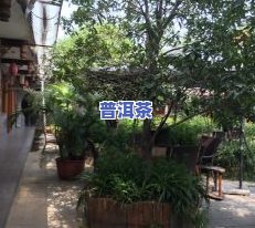 彭州首座茶楼：地址、电话一应俱全