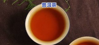 昌乐普洱茶饼批发哪里买？价格便宜，全城最全茶叶市场一网打尽！