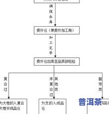 普洱茶筛选加工工艺流程详解：从选料到成品全过程解析