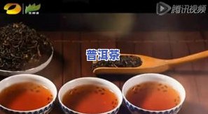 青柑普洱茶兑什么好喝点-青柑普洱茶兑什么好喝点呢