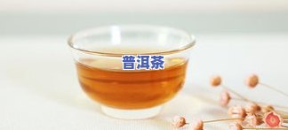 青柑普洱茶兑什么好喝点-青柑普洱茶兑什么好喝点呢