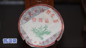 普洱茶十大中茶是哪些？揭秘普洱茶名牌排行榜