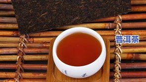 十大普洱茶最新排名：云牧、7542等入选，揭示顶级茶品之谜