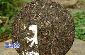 如何制作普洱茶：从茶叶蛋到茶饼、茶架的全过程