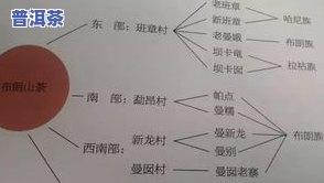 普洱老生茶怎么冲泡，「冲泡技巧」怎样冲泡一杯美味的普洱老生茶？