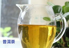 冰岛地界普洱茶官方网店-冰岛地界普洱茶的口感