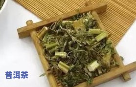 普洱茶可以加菊花吗？功效与冲泡方法全解析