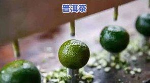 竹子普洱茶功效-竹子普洱茶功效与作用