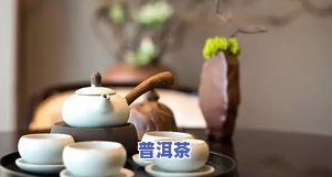 普洱茶主流-普洱茶主流有哪些