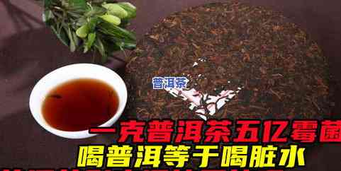 普洱茶外包装发霉：是否还能饮用？如何处理？