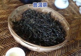 冰岛坝普洱茶有什么好处-冰岛普洱茶百科