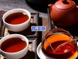 普洱茶绿茶：能冷饮还是热饮好？可以一起冲泡吗？