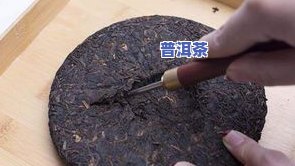 且末普洱茶-且末怎么样