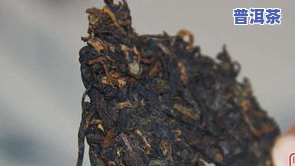 且末普洱茶-且末怎么样