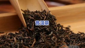 普洱茶化石什么-普洱茶化石什么味道