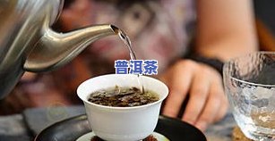 熟普洱茶泡几泡为更佳时间？详解视频教程