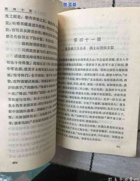 普洱茶入门：初级知识、经验分享与道步骤视频教程全解析