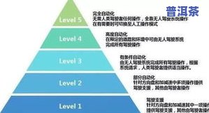 茶叶毛料是什么意思？详解等级与图片含义