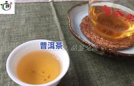 广隆普洱茶最近怎么了-广隆普洱茶怎么样