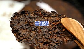 萧山普洱茶-萧山茶叶品种