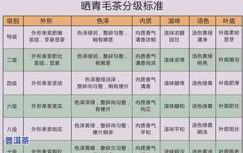 压制普洱茶的流程：从原料准备到成品出炉的全过程解析