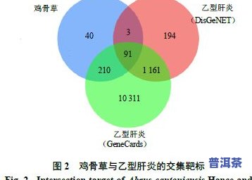 深入探究普洱茶中微生物的研究方法、意义与应用