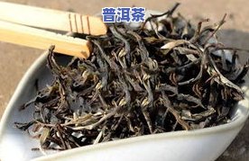 茶叶萎凋期间，叶片会发生哪些变化？