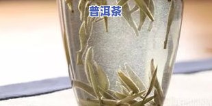 为什么普洱茶比白茶贵很多？与其它茶相比有何特殊之处？