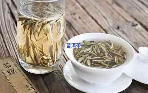 为什么白茶和普洱茶越陈越好？探讨其升值与口感提升的起因