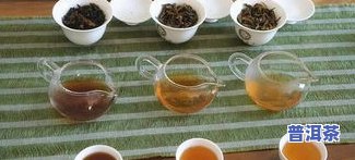 凤庆茶区普洱茶特点：7813品种及口感解析