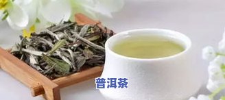 茶叶一口料什么意思-茶叶一口料是什么意思