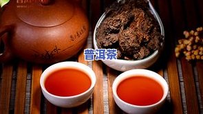 普洱茶细碎-普洱 碎茶