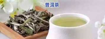 茶叶中的白毫：作用、功效及对身体的作用