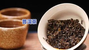 正宗云南普洱茶：颜色、种类与优劣解析